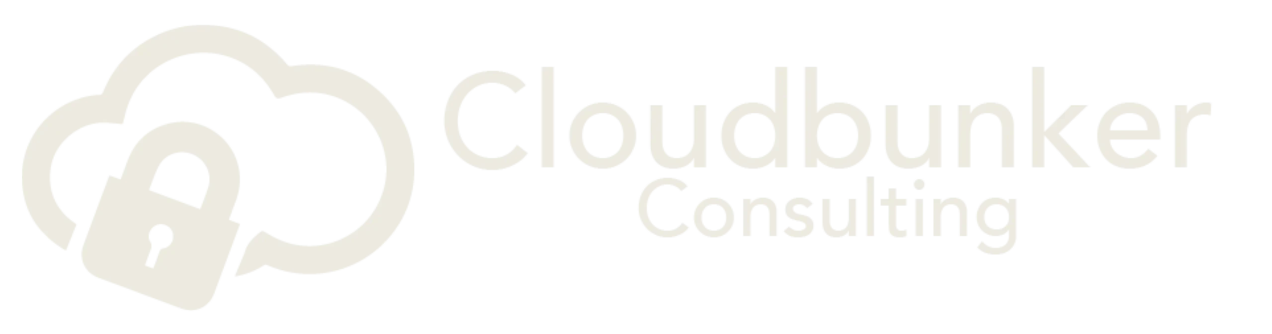 Cloudbunker Consulting